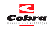 cobra rolamentos e autopeças